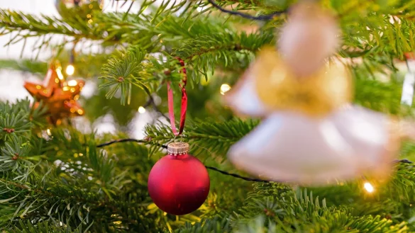 An Weihnachten wird einem Experten zufolge weiterhin gesungen - allerdings andere Lieder als fr&uuml;her. - &copy; Jonas Walzberg/dpa