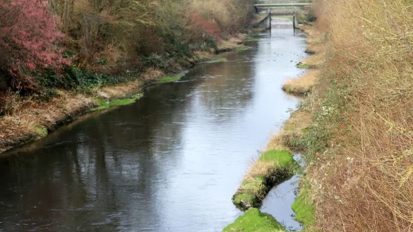 Die seit Jahresbeginn komplett abwasserfreie Emscher fließt durch ihr renaturiertes Flußbett. - © Roland Weihrauch/dpa/Archivbild