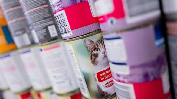 Tierfutter steht in Regalen in den R&auml;umen der Tiertafel D&uuml;sseldorf. - &copy; Rolf Vennenbernd/dpa