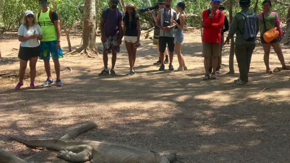 Nach Protesten sollen die Eintrittspreise f&uuml;r die Insel Komdo doch nicht erh&ouml;ht werden. - &copy; Christoph Sator/dpa
