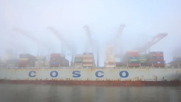 Das Containerschiff &laquo;Cosco Pride&raquo; liegt im dichten Nebel am Containerterminal Tollerort im Hamburger Hafen. - &copy; Jonas Walzberg/dpa