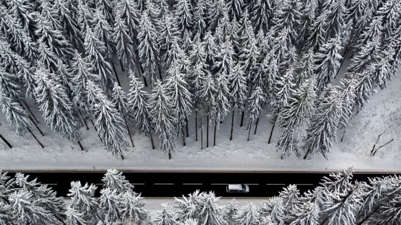 Wei&szlig;e oder gr&uuml;ne Weihnachten? Derzeit sieht der DWD f&uuml;r Dezember eine &laquo;leichte Tendenz f&uuml;r w&auml;rmere Bedingungen&raquo;. - &copy; Jan Woitas/dpa-Zentralbild/dpa