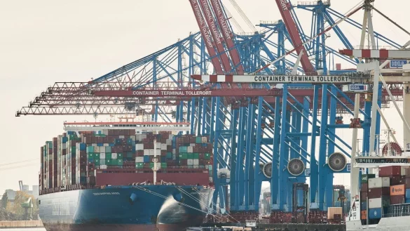 Blick auf Kr&auml;ne und ein Containerschiff im Hamburger Hafen. - &copy; Georg Wendt/dpa
