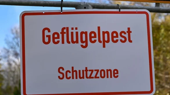 Ein Schild mit der Aufschrift «Geflügelpest Schutzzone». - © Patrick Pleul/dpa-Zentralbild/dpa/Archivbild