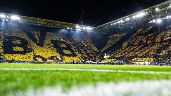 Blick auf die Trib&uuml;ne. - &copy; Guido Kirchner/dpa/Symbolbild