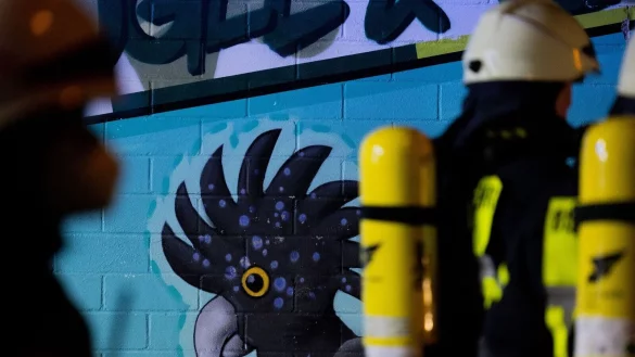 - &copy; Rolf Vennenbernd/dpa/Archivbild