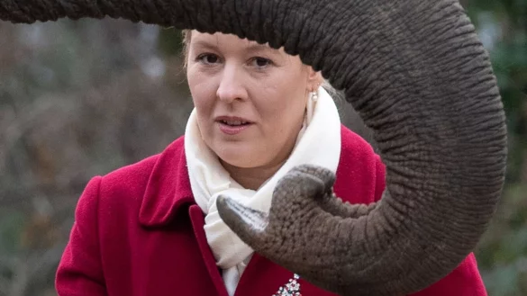 Berlins Regierende B&uuml;rgermeisterin Franziska Giffey (SPD) f&uuml;ttert im Zoo einen Elefanten. - &copy; Paul Zinken/dpa