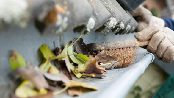 Laub muss aus der Dachrinne entfernt werden, sonst droht ein verstopfter Ablauf. - &copy; Kai Remmers/dpa-tmn
