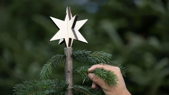 Der &laquo;Keinachtsbaum&raquo;, der den klassischen Tannenbaum ersetzt, besteht aus einem Holzstab, der jedes Jahr zu Weihnachten mit neuem Tannengr&uuml;n best&uuml;ckt wird. - &copy; Friso Gentsch/dpa
