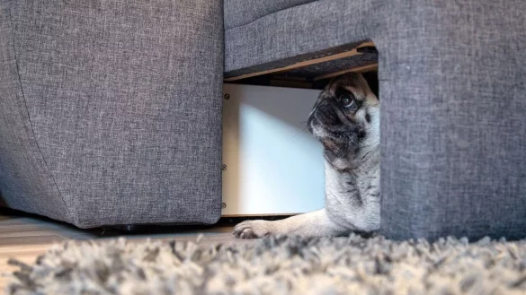 Wenn es draussen kracht und blitzt, hilft manchmal schon eine kleine H&ouml;hle. - &copy; Christin Klose/dpa-tmn