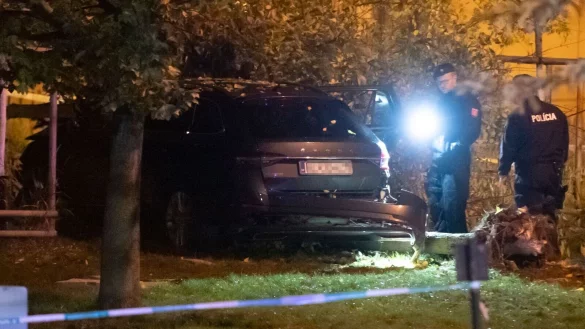 - &copy; Martin Baumann/TASR/dpa