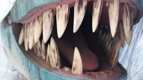 Der Tierpark Berlin plant ab Fr&uuml;hjahr eine Ausstellung mit lebensgro&szlig;en Nachbildungen von Dinosauriern. - &copy; 2022 Tierpark Berlin/dpa