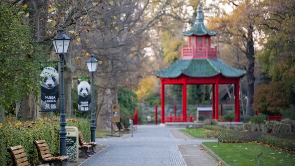 Der Berliner Zoo ohne Besucher: Der Zoo ist nach einem Fall von Vogelgrippe weiterhin geschlossen. - &copy; Monika Skolimowska/dpa