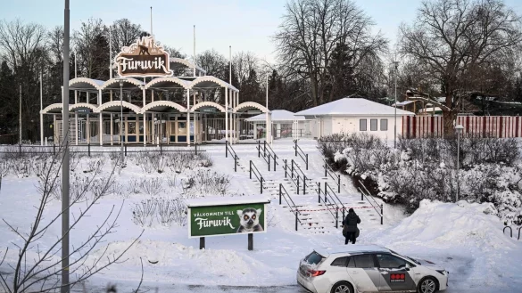 Vier Schimpansen sind am Mittwoch aus ihrem Gehege und dem Schimpansenhaus des Zoos Furuvik ausgebrochen. - &copy; Fredrik Sandberg/TT NEWS AGENCY/dpa