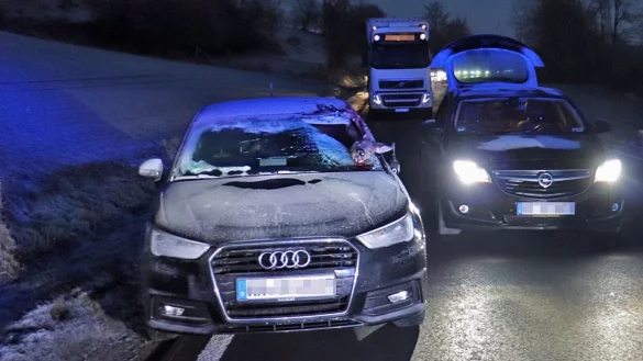 Bei einer Kollision auf einer Bundesstra&szlig;e in H&ouml;xter ist ein Reh durch die Windschutzscheibe des Wagens gekracht und gestorben. - &copy; Kreispolizeibeh&ouml;rde H&ouml;xter/dpa
