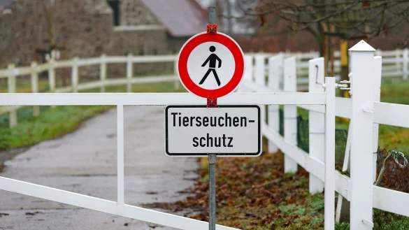 Ein Schild verweist am Eingang zu einer G&auml;nsezucht im s&auml;chsischen Wermsdorf auf den Tierseuchenschutz. - &copy; Jan Woitas/dpa-Zentralbild/dpa