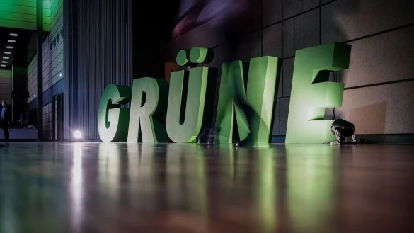 Die Gr&uuml;nen sind Mitte Oktober zu einem Parteitag zusammengekommen. - &copy; Kay Nietfeld/dpa