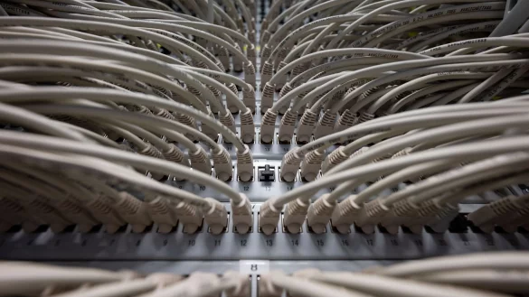 Netzwerkkabel in einem Rechenzentrum. - &copy; Marijan Murat/dpa/Symbolbild