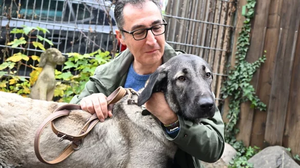 Bundeslandwirtschaftsminister Cem &Ouml;zdemir streichelt bei seinem Besuch im Tierheim in Stuttgart-Botnang eine Kangal-Hirtenh&uuml;ndin. - &copy; Bernd Wei&szlig;brod/dpa