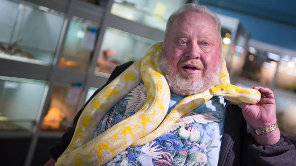 Norbert Zajac h&auml;lt im Zoogesch&auml;ft Zajac einen Albino-Netzpython in den H&auml;nden. - &copy; Monika Skolimowska/dpa/Archivbild