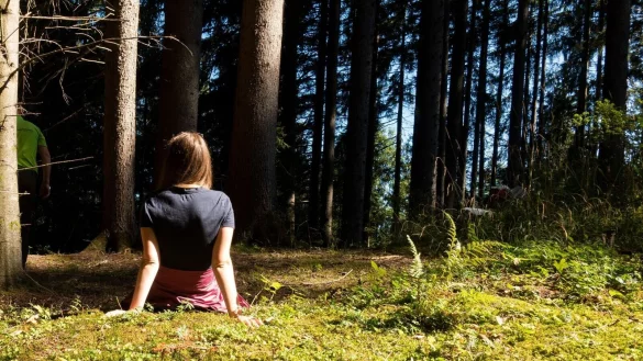 Den Boden ber&uuml;hren, das Moos, die Gr&auml;ser: Den Wald mit allen Sinnen sp&uuml;ren - auch darum geht es. - &copy; Andreas Drouve/dpa-tmn/Archivbild