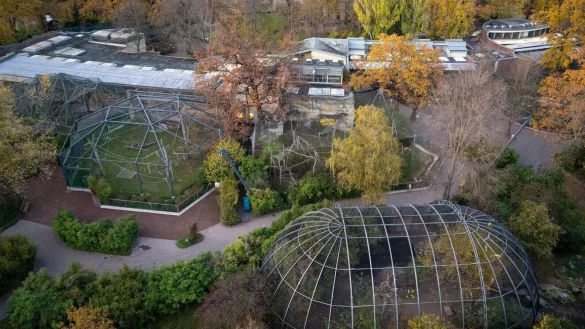 Rund f&uuml;nf Wochen muss(te) der Berliner Zoo wegen eines Vogelgrippe-Falles schlie&szlig;en; an Heiligabend darf er - unter Auflagen - wieder &ouml;ffnen. - &copy; Monika Skolimowska/dpa