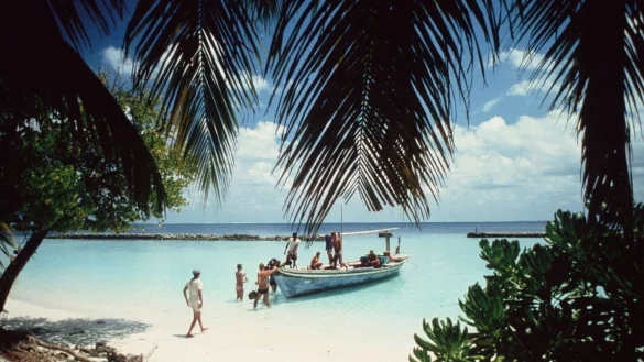 Besonders in den touristischen Anfangsjahren zog es vor allem Tauchbegeisterte auf die Malediven. - &copy; Kurumba Maldives/dpa-tmn