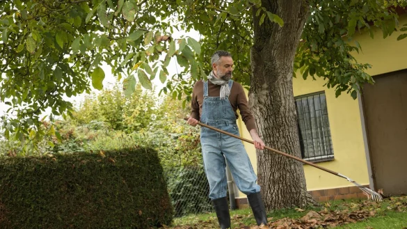 Laub sollte man vom Rasen entfernen. Auf Beeten aber kann es bleiben. - &copy; Christin Klose/dpa-tmn