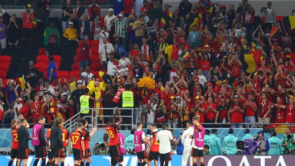 Belgiens Fu&szlig;baller feiern nach dem Spiel mit den Fans. - &copy; Tom Weller/dpa