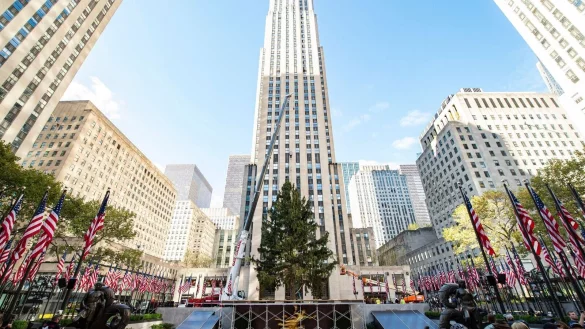 Die Fichte aus Queensbury wird mit einem Kran auf der Rockefeller Plaza aufgerichtet. - &copy; Diane Bondareff/FR81453 AP/dpa