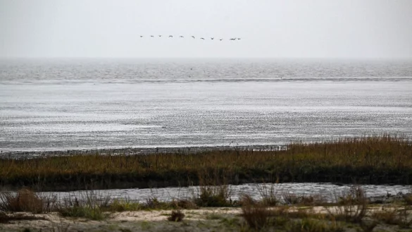 Das Watt vor dem Strand von Dangast in Nidersachsten. Am 01.12.2022 endet die 14. trilaterale Wattenmeerkonferenz von Deutschland, D&auml;nemark und den Niederlanden. - &copy; Sina Schuldt/dpa