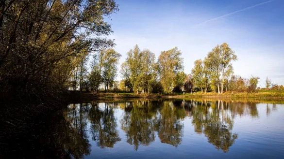 Bäume spiegeln sich im Landkreis Hildesheim bei sonnigem Herbstwetter auf der Wasseroberfläche eines Sees. - © Moritz Frankenberg/dpa