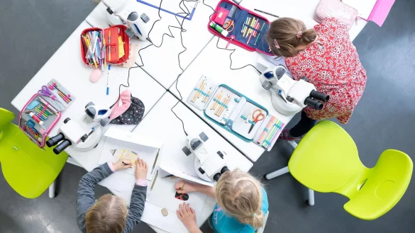 An einigen Grundschulen in Braunschweig stehen derzeit f&uuml;r rund 300 Sch&uuml;lerinnen und Sch&uuml;ler Gl&uuml;cksstunden auf dem Programm. - &copy; Sebastian Kahnert/dpa-Zentralbild/dpa