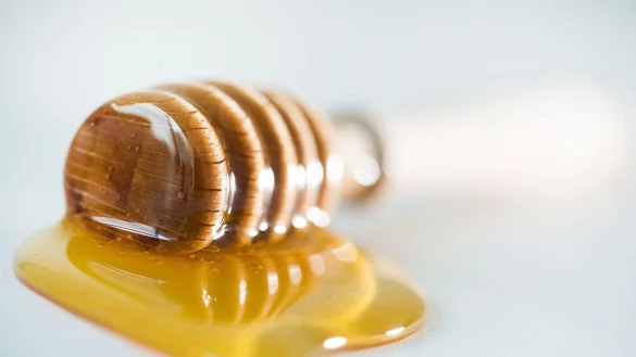 Seinen Honig sollte man nach M&ouml;glichkeit von regionalen Imkern im Pfandglas kaufen. Er ist frei von Sporen der Amerikanischen Faulbrut. - &copy; Franziska Gabbert/dpa-tmn