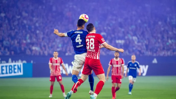 Schalkes Maya Yoshida (l) und Freiburgs Michael Gregoritsch k&auml;mpfen um den Ball. - &copy; David Inderlied/dpa