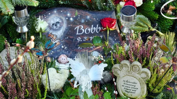 Wegen steigender Energiepreise kostet auch die Ein&auml;scherung oder Bestattung von Haustieren inzwischen mehr. - &copy; Waltraud Grubitzsch/dpa