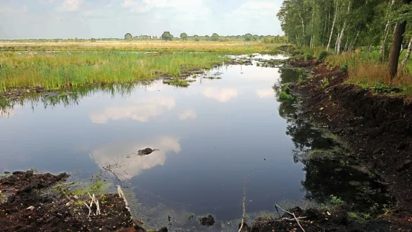 Die Aufnahme zeigt das wiedervern&auml;sste Gebiet des Teufelsmoors bei Worpswede (Niedersachsen). Weite Teile des Moors sind wiedervern&auml;sst und stehen unter Naturschutz. - &copy; picture alliance / dpa
