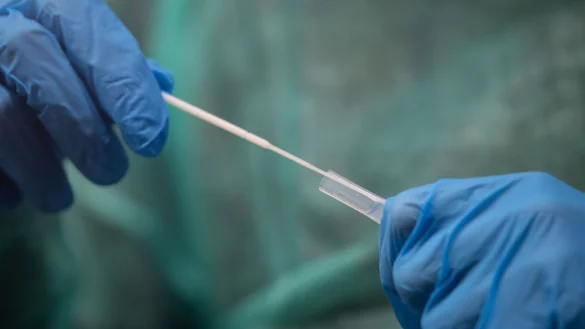 Ein Mitarbeiter h&auml;lt ein Abstrichst&auml;bchen f&uuml;r einen Corona-Test in den H&auml;nden. - &copy; Sebastian Gollnow/dpa/Symbolbild