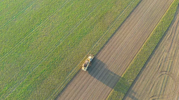 Angespannte weltweite Agrarm&auml;rkte und h&ouml;here Energiepreise infolge des Ukraine-Krieges haben Auswirkungen auf das Gesch&auml;ft der deutschen Landwirte gehabt. - &copy; Boris Roessler/dpa