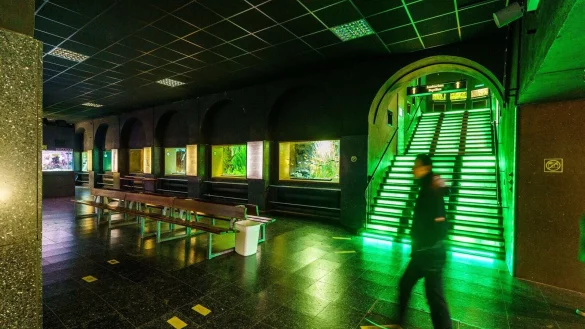 Ein Besucher geht durch das Exotarium. Der Zoo der Mainmetropole hat mit steigenden Eneriekosten zu k&auml;mpfen. - &copy; Andreas Arnold/dpa