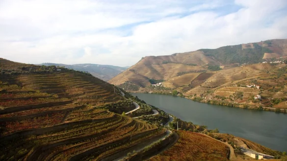 Weinberge entlang des Ufers - der Douro flie&szlig;t in der N&auml;he von Pinh&atilde;o mitten durch die Region, aus der die Trauben f&uuml;r den ber&uuml;hmten Portwein kommen. - &copy; Hilke Segbers/dpa-tmn
