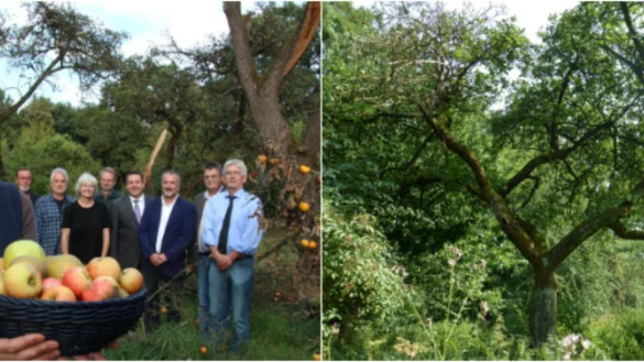 Will Lippern die Streuobstwiese schmackhaft machen: Vanessa Kowarsch plant gr&uuml;ne Klassenzimmer und Pflegeschnitt-Aktionen. R&uuml;ckendeckung bekommt sie von Hans-Eckart Buschmeier, J&uuml;rgen Georgi, Sylvia Ostmann, Matthias F&uuml;ller, Landrat Dr. Axel Lehmann, Markus Wehrmann, Bernd Milde und Thomas Jeckel (von links). - &copy; Marianne Schwarzer