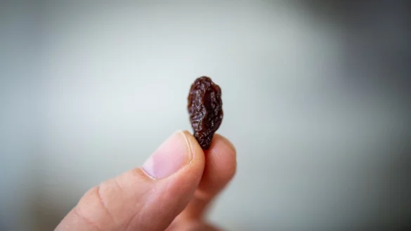 &laquo;&Ouml;ko-Test&raquo; hat 24 Rosinenmarken &uuml;berpr&uuml;ft und festgestellt, dass die meisten von ihnen Pestizide, Schimmelpilzgifte oder Keime enthalten. - &copy; Zacharie Scheurer/dpa-tmn