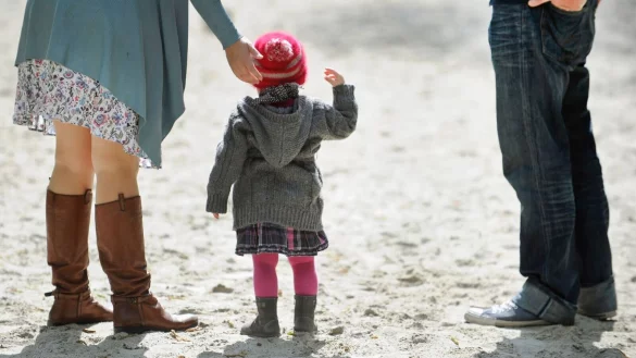 Mehr als f&uuml;nf Milliarden Euro - &copy; picture alliance / Andreas Gebert/dpa