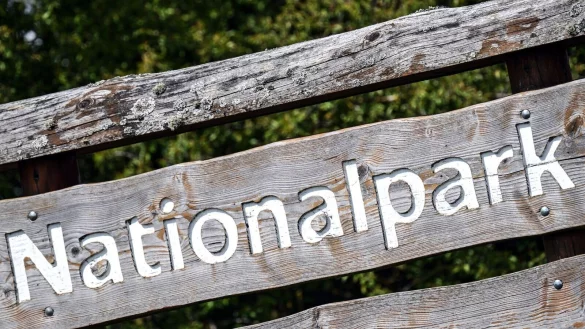 Bei der Suche nach einem zweiten Nationalpark in Nordrhein-Westfalen hat die schwarz-grüne Regierungskoalition aus Sicht der Opposition widerstrebende Interessen verfolgt. (Archivbild) - © Federico Gambarini/dpa