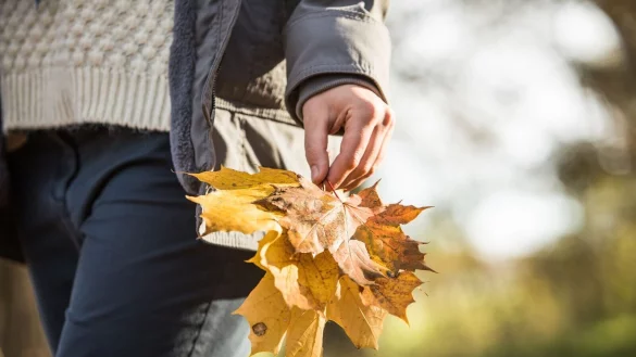 Gesunde Alltagsroutinen: Regelm&auml;&szlig;ige Bewegung an der frischen Luft hilft, das Immunsystem zu unterst&uuml;tzen. - &copy; Christin Klose/dpa-tmn