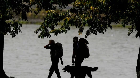 Genug Proviant einpacken und die Distanz langsam steigern: Dann können Hunde ohne Probleme eine Wandertour bewältigen. - © Marius Becker/dpa/dpa-tmn