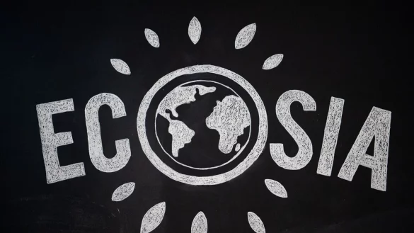 Zusammen mit der Suchmaschine Qwant aus Frankreich will das Berliner Start-up Ecosia einen Suchmaschinennindex aufbauen, der ohne Google und Bing auskommt. - &copy; Arne Immanuel B&auml;nsch/dpa