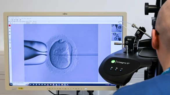 Eine Eizelle wird befruchtet. Dieses Verfahren wird pro Jahr in Deutschland tausendfach durchgef&uuml;hrt. - &copy; Jens Kalaene/dpa