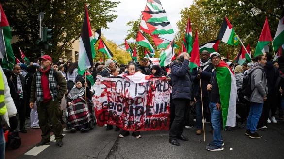 In Tempelhof marschierten propal&auml;stinensische Demonstranten - &copy; Joerg Carstensen/dpa